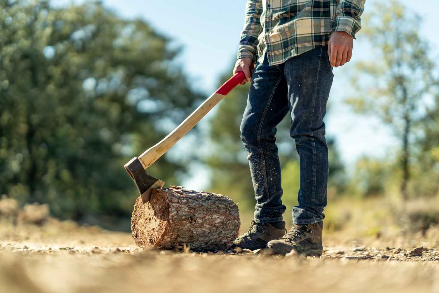 Tree Root Removal in Mertzon, TX